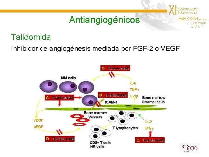 Antiangiogénicos Talidomida Inhibidor de angiogénesis mediada por FGF-2 o VEGF 