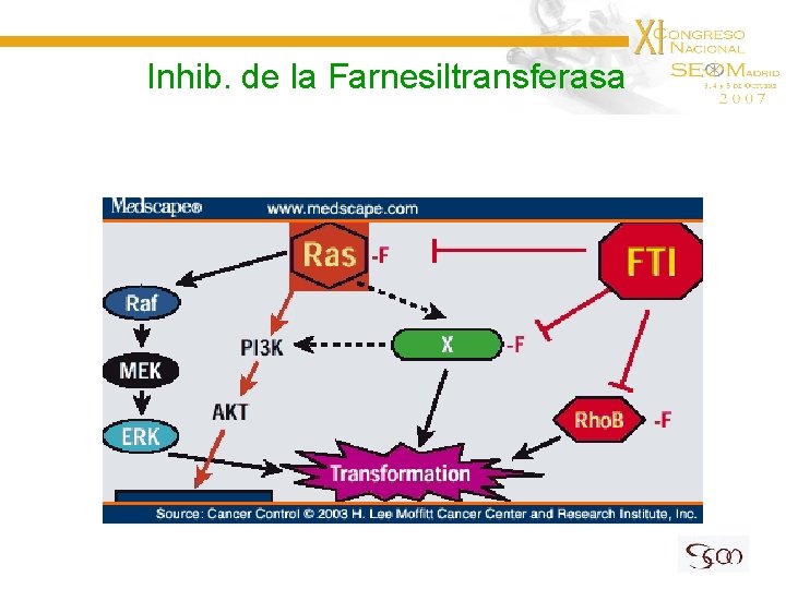 Inhib. de la Farnesiltransferasa 