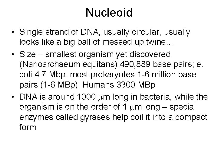Nucleoid • Single strand of DNA, usually circular, usually looks like a big ball