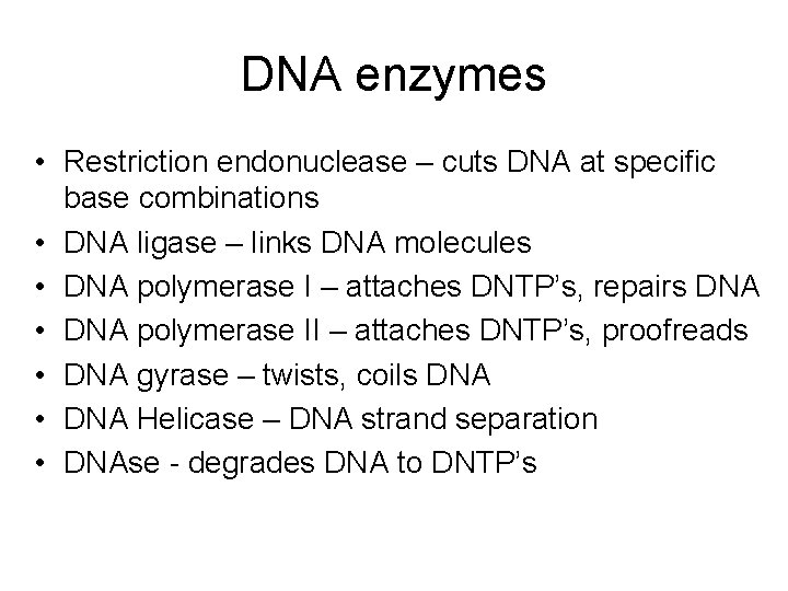 DNA enzymes • Restriction endonuclease – cuts DNA at specific base combinations • DNA