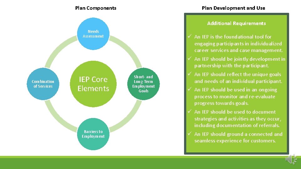 Plan Components Plan Development and Use Additional Requirements Needs Assessment Combination of Services IEP