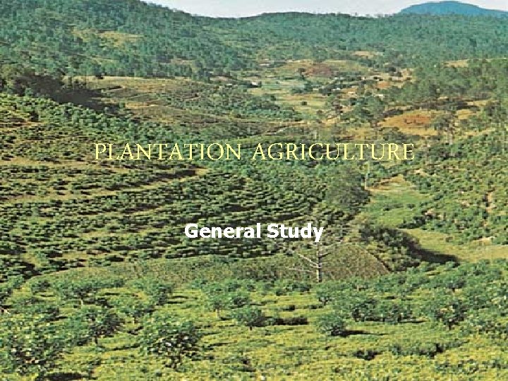 PLANTATION AGRICULTURE General Study 