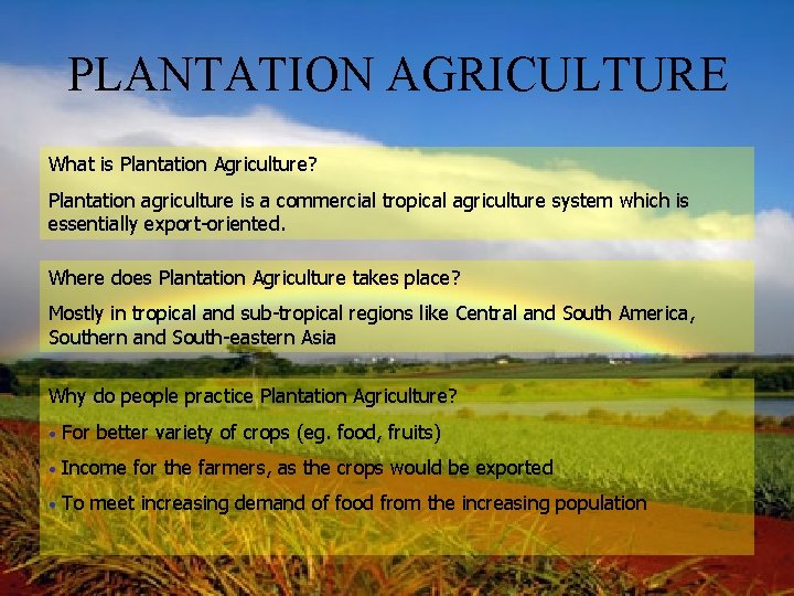 PLANTATION AGRICULTURE What is Plantation Agriculture? Plantation agriculture is a commercial tropical agriculture system