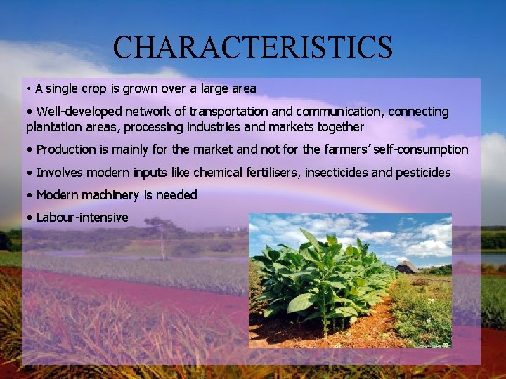 CHARACTERISTICS • A single crop is grown over a large area • Well-developed network