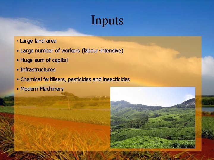 Inputs • Large land area • Large number of workers (labour-intensive) • Huge sum