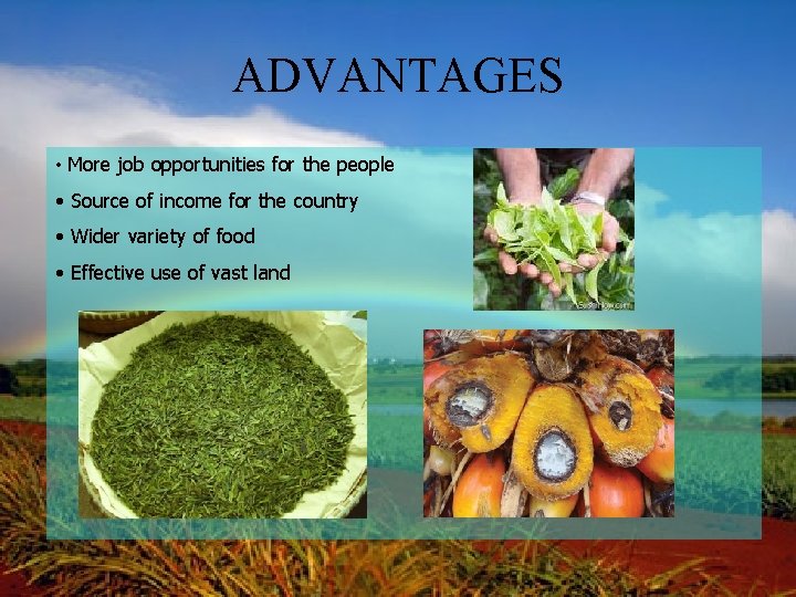 ADVANTAGES • More job opportunities for the people • Source of income for the