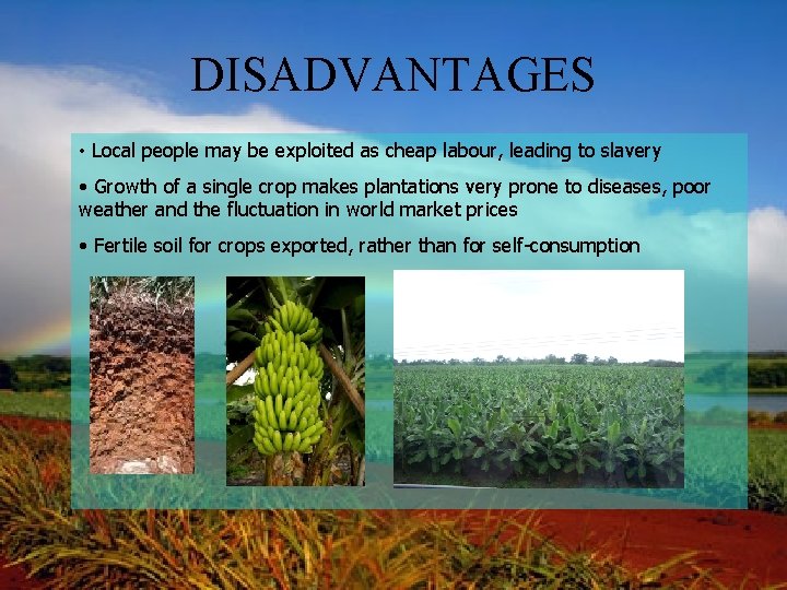 DISADVANTAGES • Local people may be exploited as cheap labour, leading to slavery •