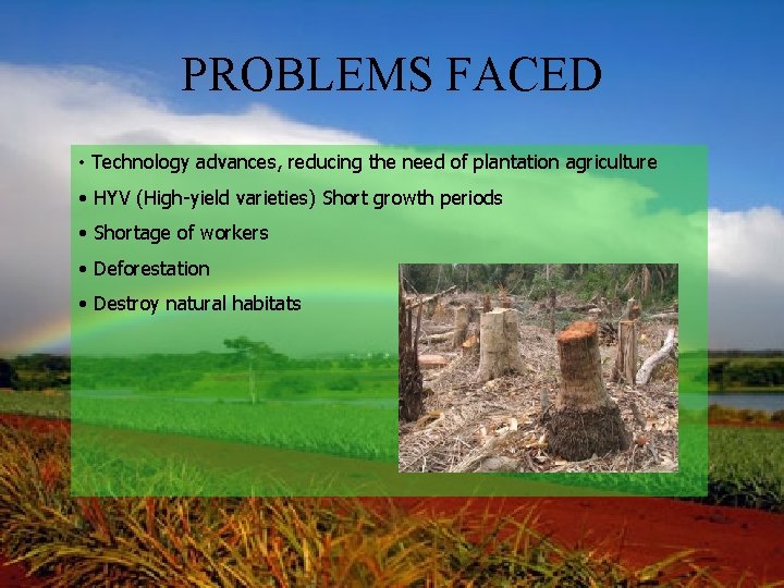 PROBLEMS FACED • Technology advances, reducing the need of plantation agriculture • HYV (High-yield