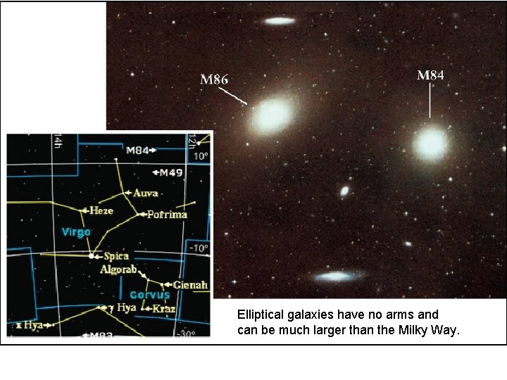 Elliptical galaxies have no arms and can be much larger than the Milky Way.