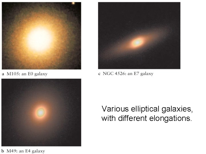 Various elliptical galaxies, with different elongations. 