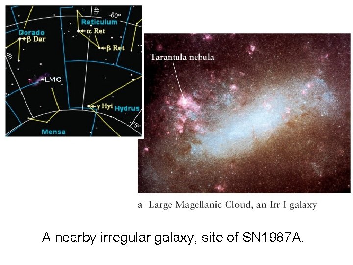 A nearby irregular galaxy, site of SN 1987 A. 