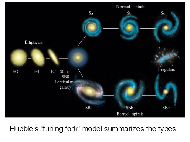Hubble’s “tuning fork” model summarizes the types. 