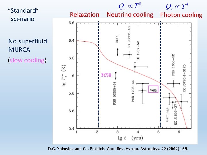 “Standard” scenario Relaxation Neutrino cooling Photon cooling No superfluid MURCA (slow cooling) 3 C