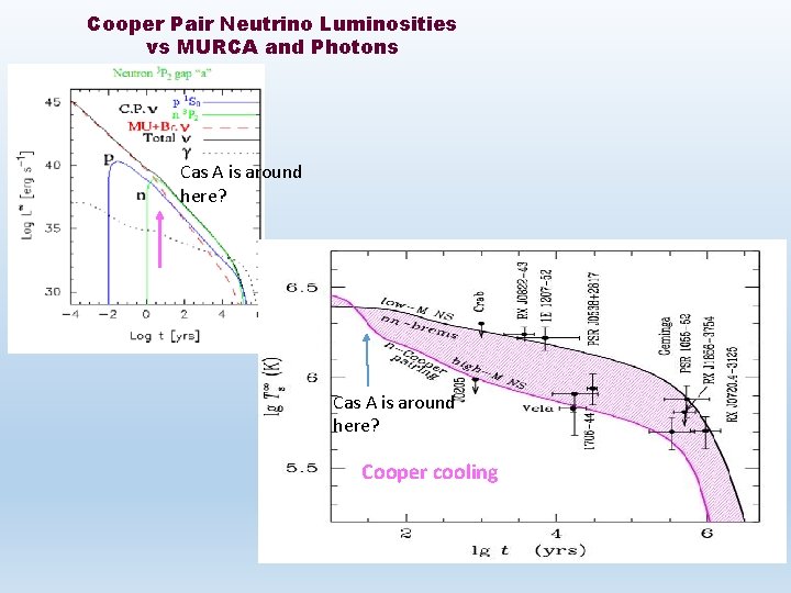 Cooper Pair Neutrino Luminosities vs MURCA and Photons Cas A is around here? Cooper