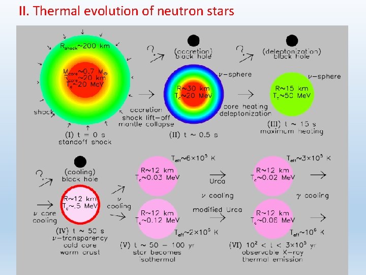 II. Thermal evolution of neutron stars 