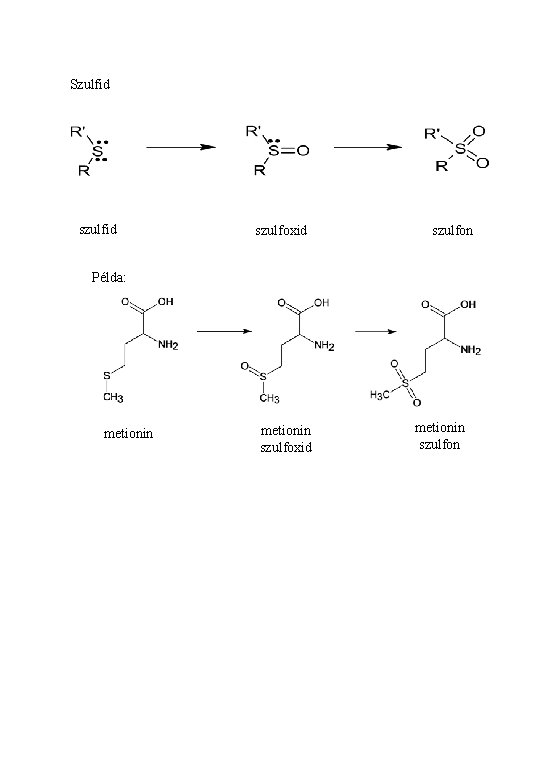 Szulfid szulfoxid szulfon Példa: metionin szulfoxid metionin szulfon 