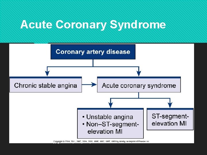 Acute Coronary Syndrome Copyright © 2014 by Mosby, an imprint of Elsevier Inc. 