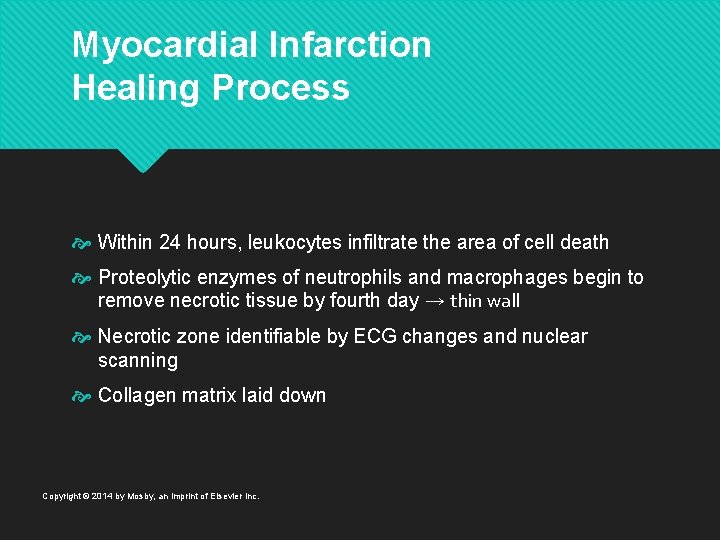 Myocardial Infarction Healing Process Within 24 hours, leukocytes infiltrate the area of cell death