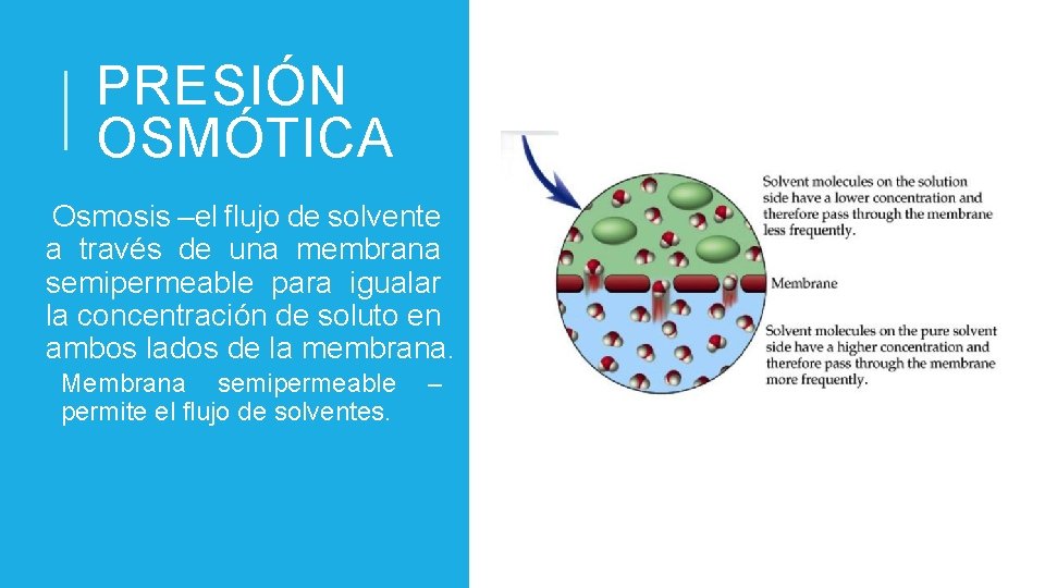 PRESIÓN OSMÓTICA §Osmosis –el flujo de solvente a través de una membrana semipermeable para