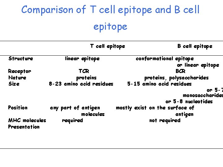 Comparison of T cell epitope and B cell epitope T cell epitope Structure linear