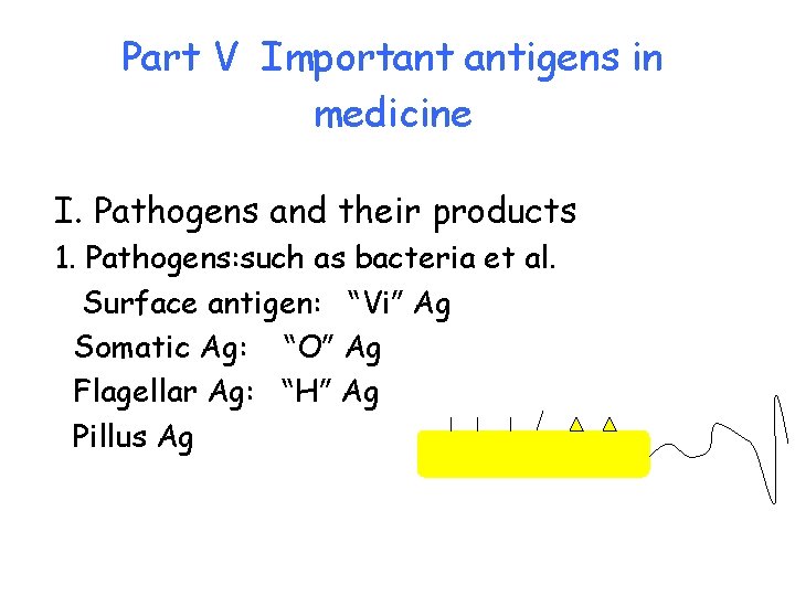 Part V Important antigens in medicine I. Pathogens and their products 1. Pathogens: such