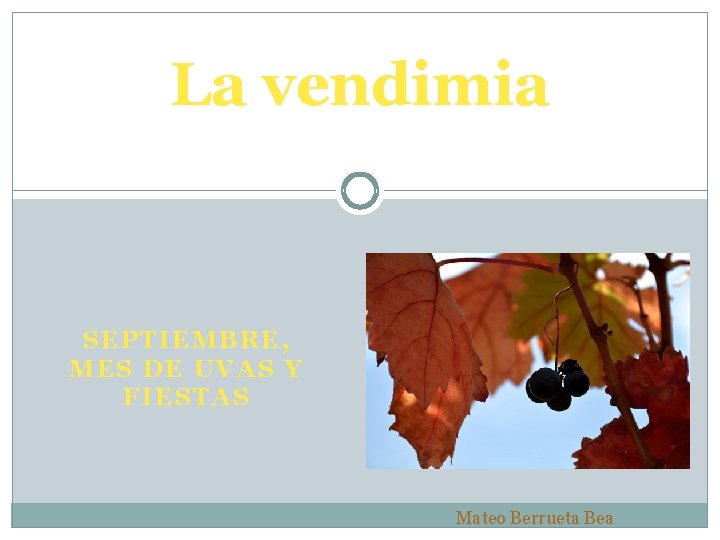 La vendimia SEPTIEMBRE, MES DE UVAS Y FIESTAS Mateo Berrueta Bea 