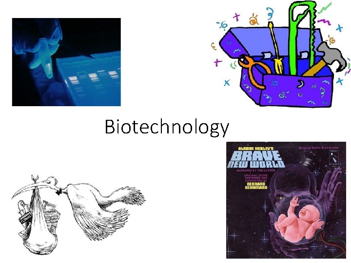Biotechnology 2007 -2008 
