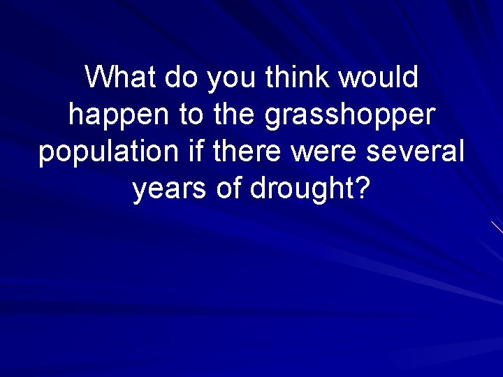 What do you think would happen to the grasshopper population if there were several