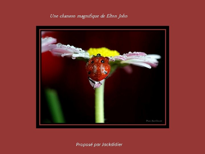 Une chanson magnifique de Elton John Proposé par Jackdidier 