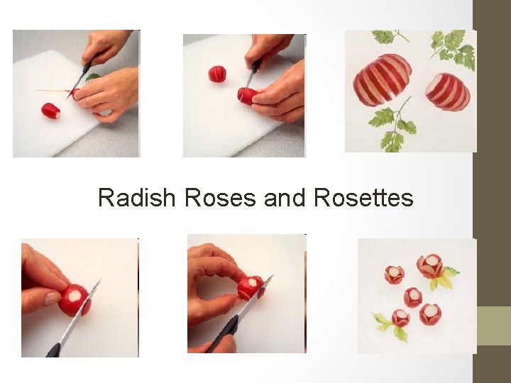 Radish Roses and Rosettes 