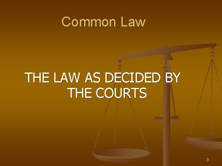 Common Law THE LAW AS DECIDED BY THE COURTS 3 