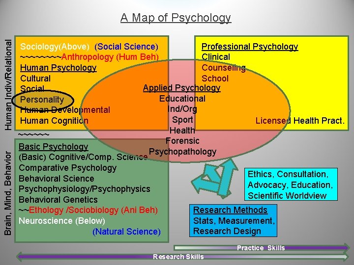 Brain, Mind, Behavior Human Indiv/Relational A Map of Psychology Sociology(Above) (Social Science) Professional Psychology