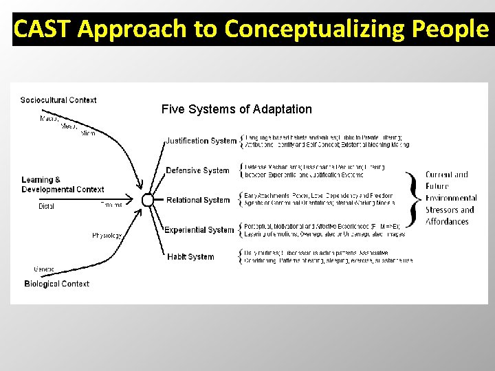 CAST Approach to Conceptualizing People Five Systems of Adaptation 