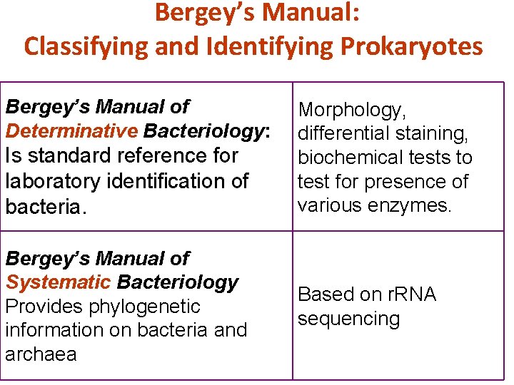 Bergey’s Manual: Classifying and Identifying Prokaryotes Bergey’s Manual of Determinative Bacteriology: Is standard reference Bergey’s Manual: Classifying and Identifying Prokaryotes Bergey’s Manual of Determinative Bacteriology: Is standard reference
