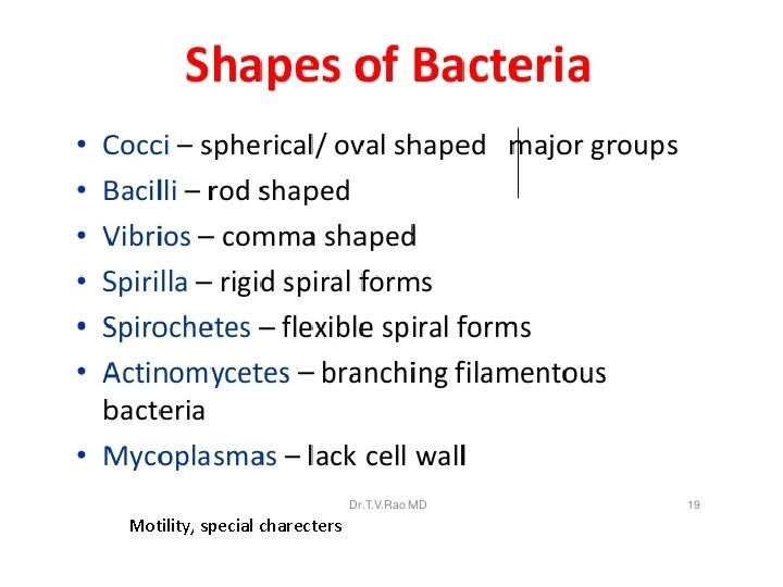Motility, special charecters Motility, special charecters