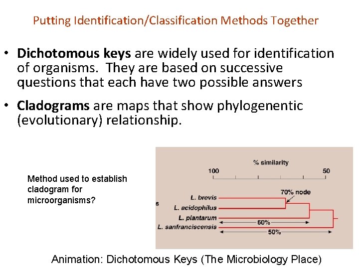 Putting Identification/Classification Methods Together • Dichotomous keys are widely used for identification of organisms. Putting Identification/Classification Methods Together • Dichotomous keys are widely used for identification of organisms.