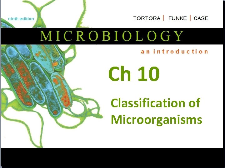 Ch 10 Classification of Microorganisms Ch 10 Classification of Microorganisms