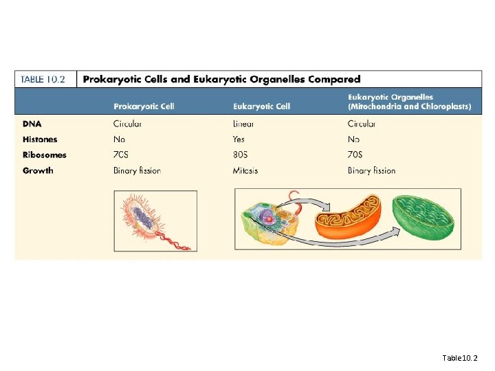 Table 10. 2 Table 10. 2