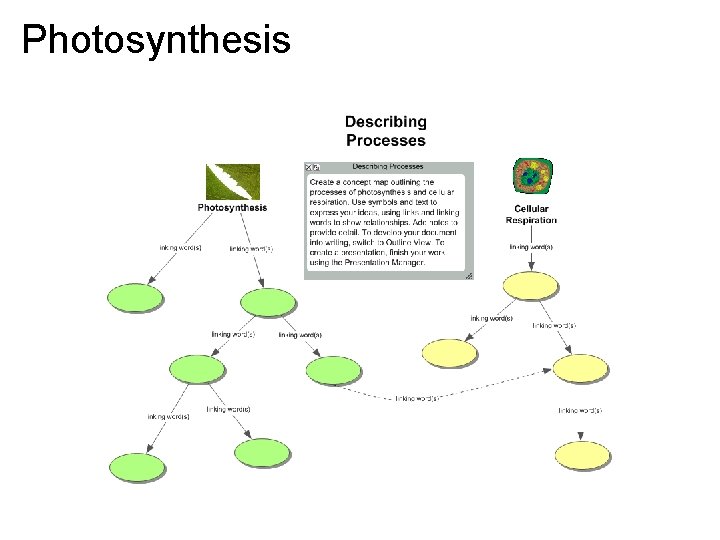 Photosynthesis 
