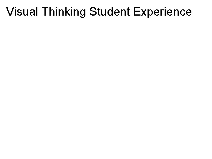 Visual Thinking Student Experience 