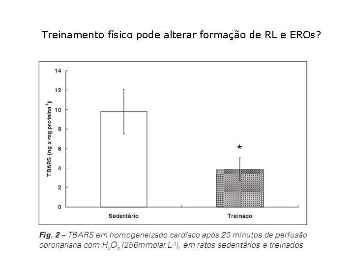 Treinamento físico pode alterar formação de RL e EROs? 