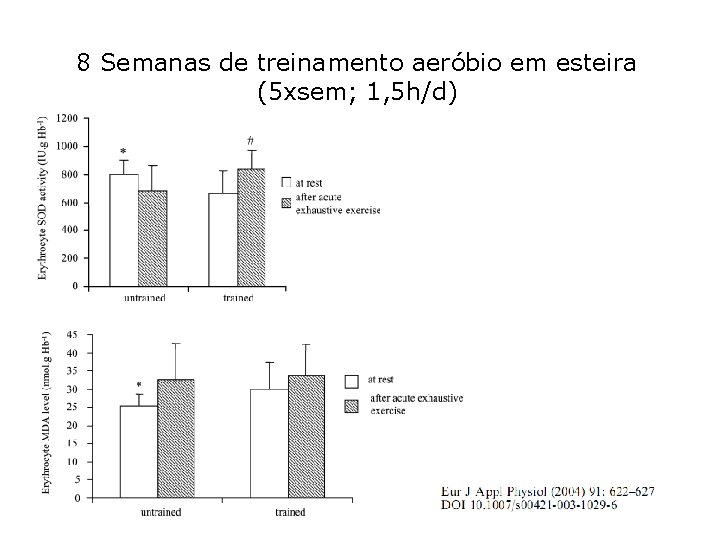 8 Semanas de treinamento aeróbio em esteira (5 xsem; 1, 5 h/d) 