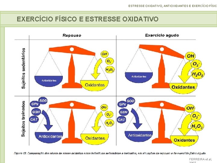 ESTRESSE OXIDATIVO, ANTIOXIDANTES E EXERCÍCIO FÍSICO E ESTRESSE OXIDATIVO FERREIRA et al, 