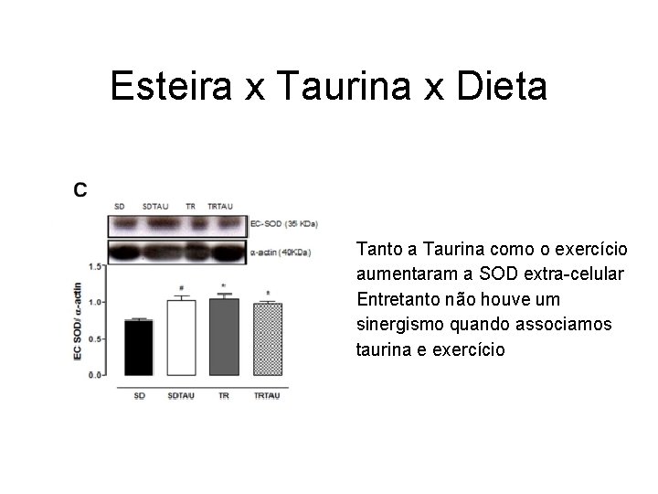 Esteira x Taurina x Dieta Tanto a Taurina como o exercício aumentaram a SOD