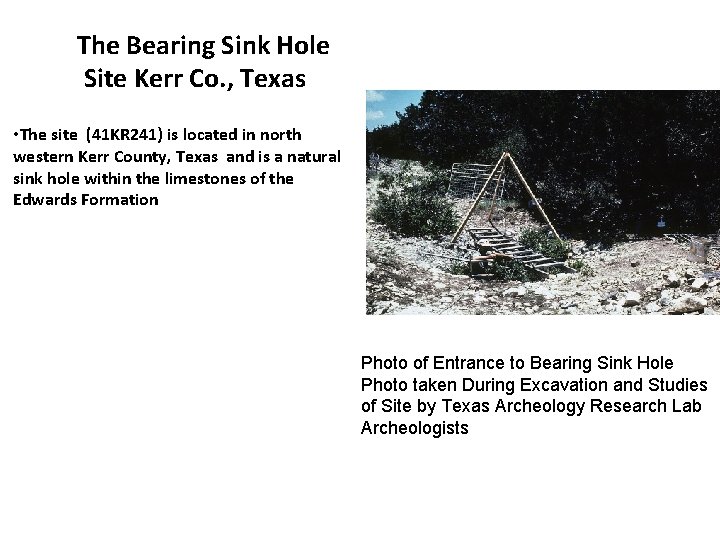 The Bearing Sink Hole Site Kerr Co. , Texas • The site (41 KR
