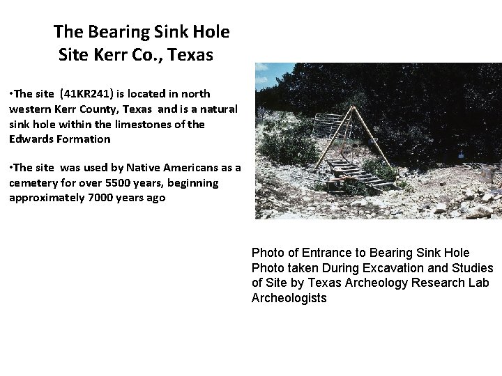 The Bearing Sink Hole Site Kerr Co. , Texas • The site (41 KR