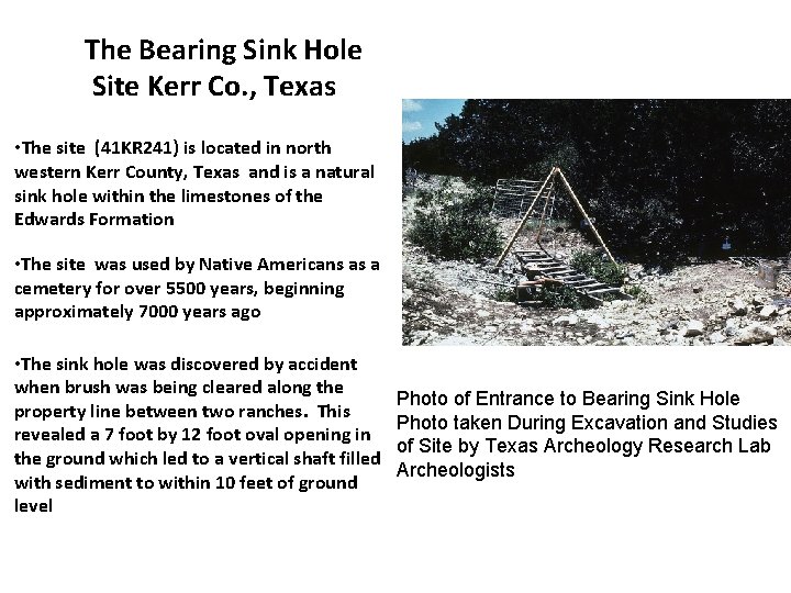 The Bearing Sink Hole Site Kerr Co. , Texas • The site (41 KR