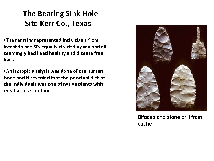The Bearing Sink Hole Site Kerr Co. , Texas • The remains represented individuals