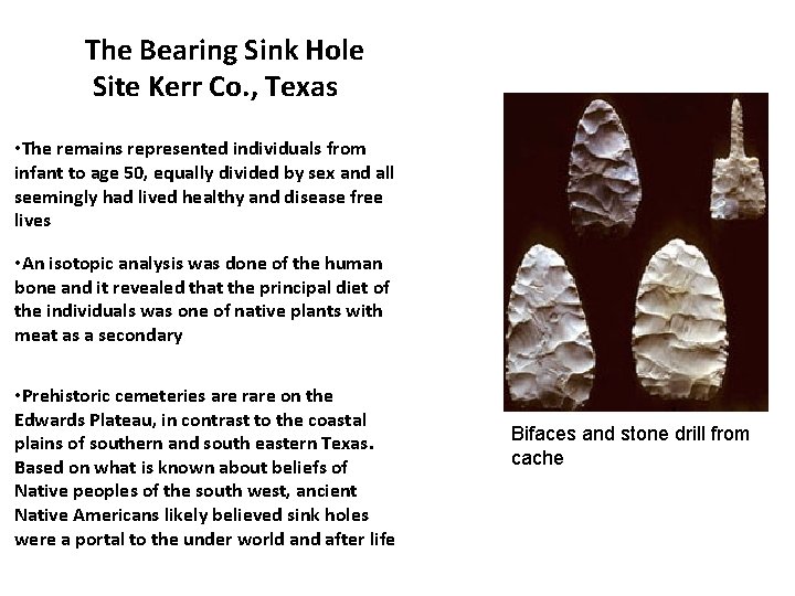 The Bearing Sink Hole Site Kerr Co. , Texas • The remains represented individuals