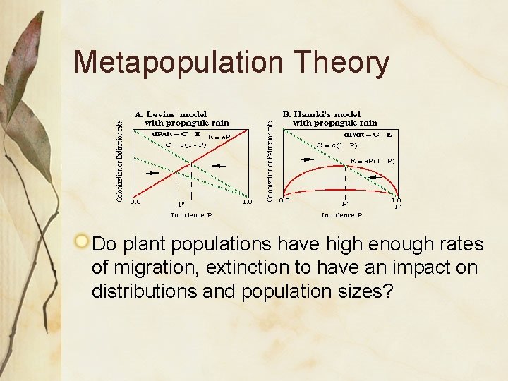 Metapopulation Theory Do plant populations have high enough rates of migration, extinction to have